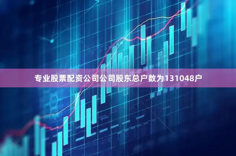 专业股票配资公司公司股东总户数为131048户